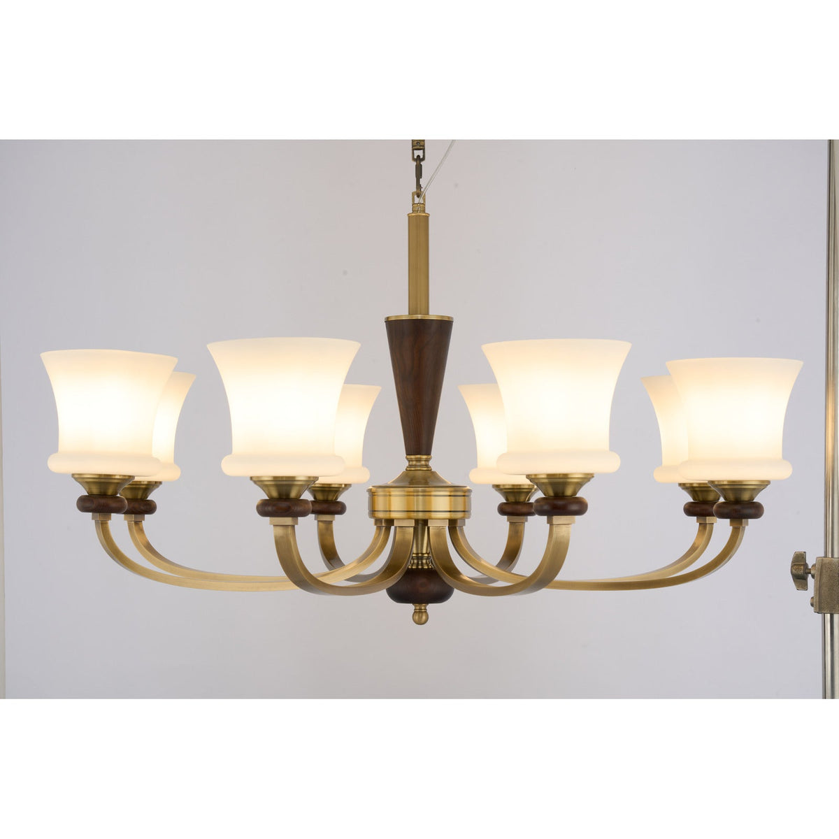
Caldrienne eight-light chandelier complete real product view